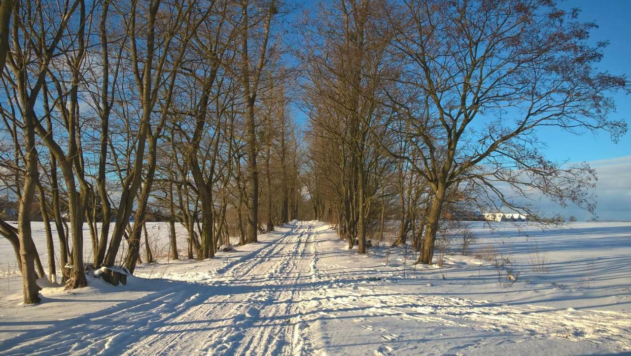 Toms Stuga Ferienwohnung Schöneiche Buitenkant foto